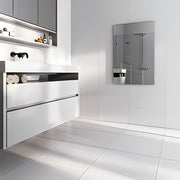 HTS 600 Watt Mirror infrared panel